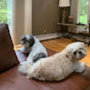 Meet your Posher, Beth